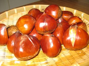 เกาลัดญี่ปุ่น Japanese Chestnut Kaolud